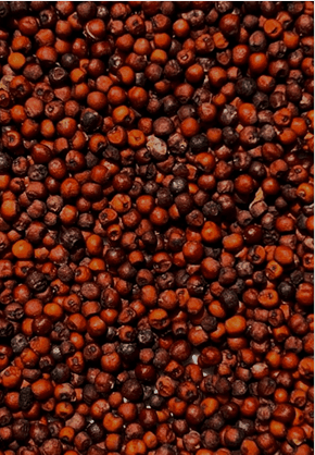 Specialty Grains & Seeds