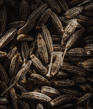 Cumin