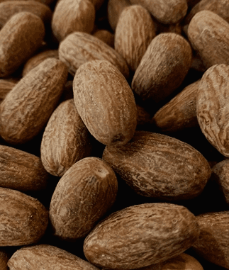 Nutmeg