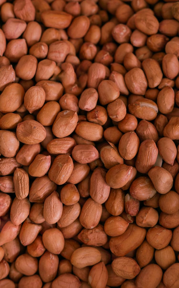 Peanuts