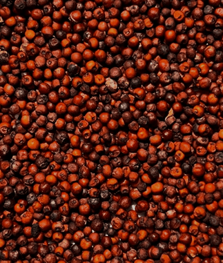 Ragi